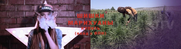 MESCALINE Осинники