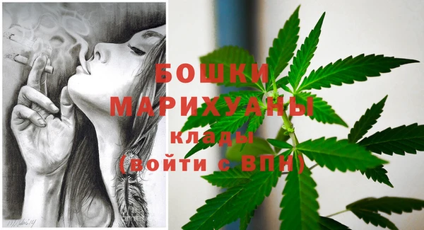 стафф Осташков