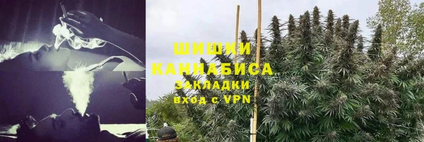 MESCALINE Осинники