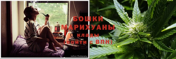 стафф Осташков