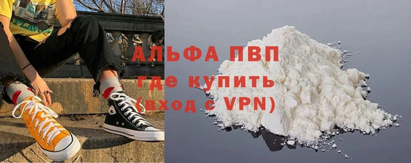 стафф Осташков