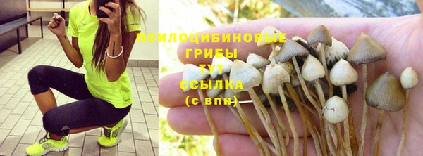 стафф Осташков