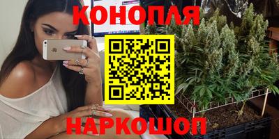 скорость Заводоуковск