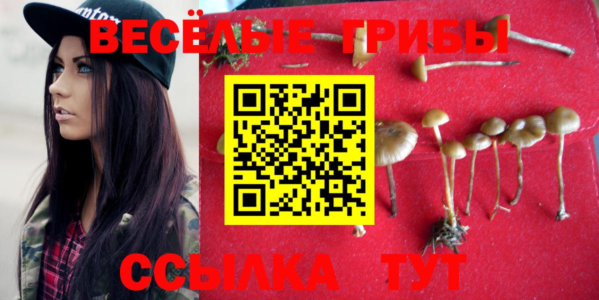 Новотроицк  Галлюциногенные грибы мухоморы  Вход с VPN 