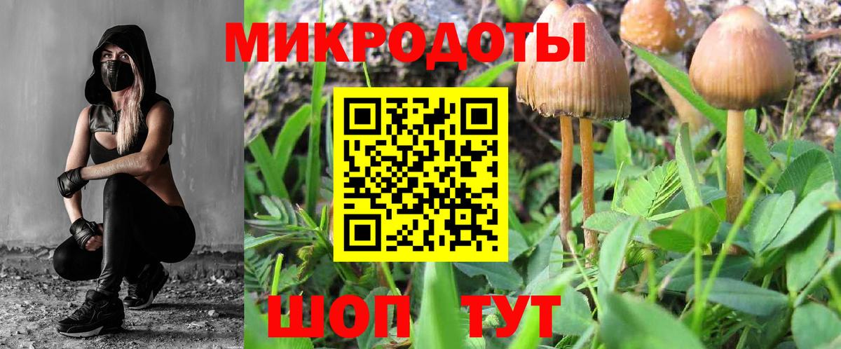 Галлюциногенные грибы MAGIC MUSHROOMS  Галлюциногенные грибы Psilocybine cubensis  Новотроицк 