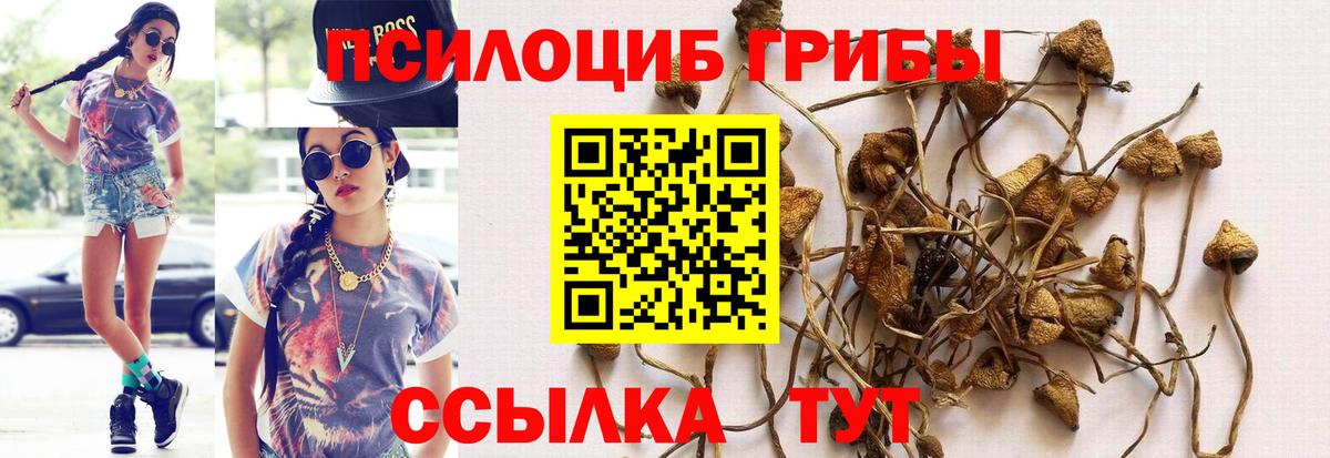 Псилоцибиновые грибы прущие грибы Новотроицк