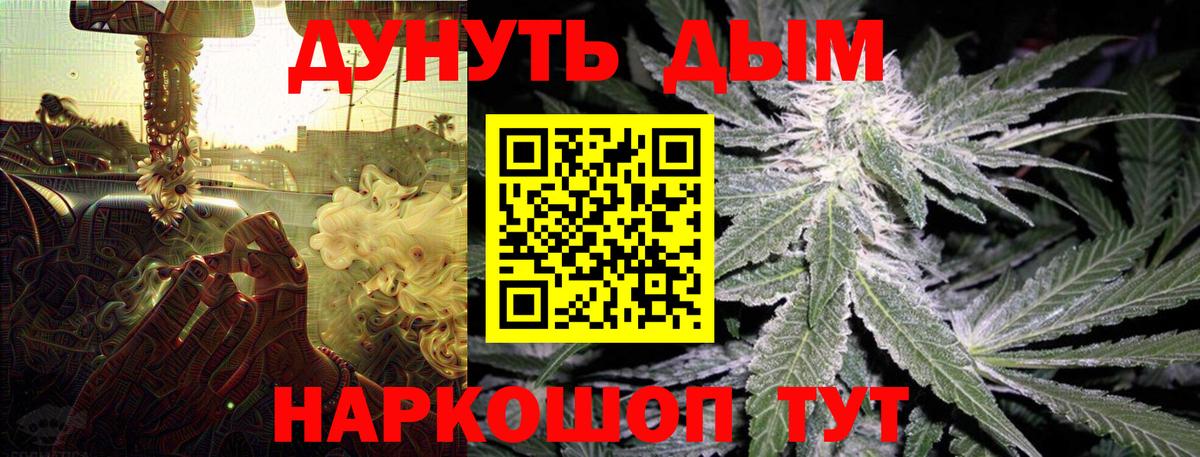 Новотроицк  Каннабис семена  Канабис Ganja  Конопля ГИДРОПОН  Вход с VPN 